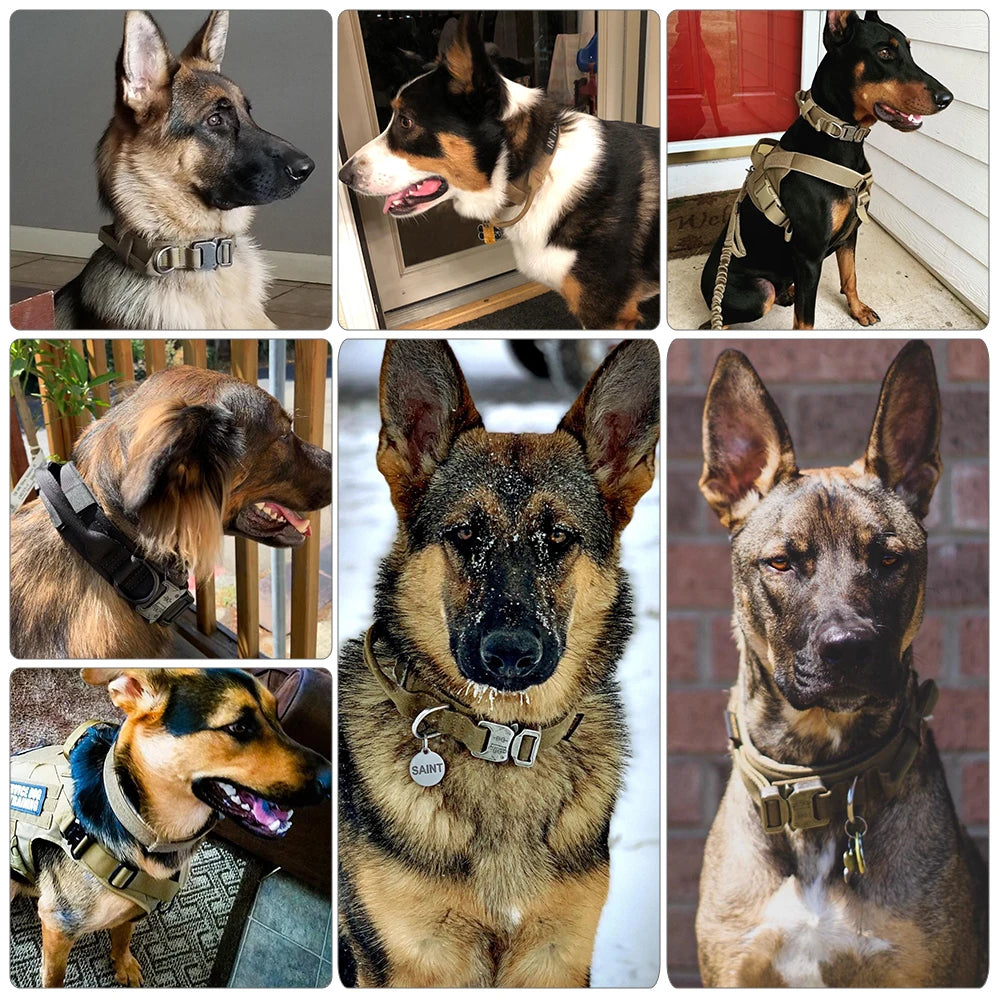 Dog Training Adjustable Tactical Collar And Leash