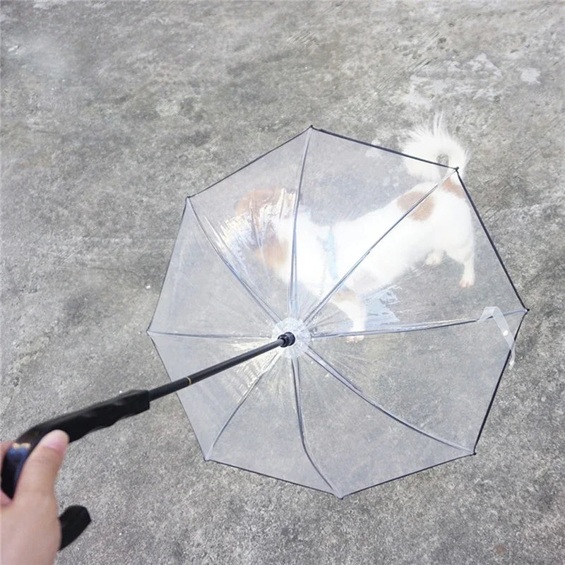 New Transparent Pet Umbrellas Small Dog w/Leash