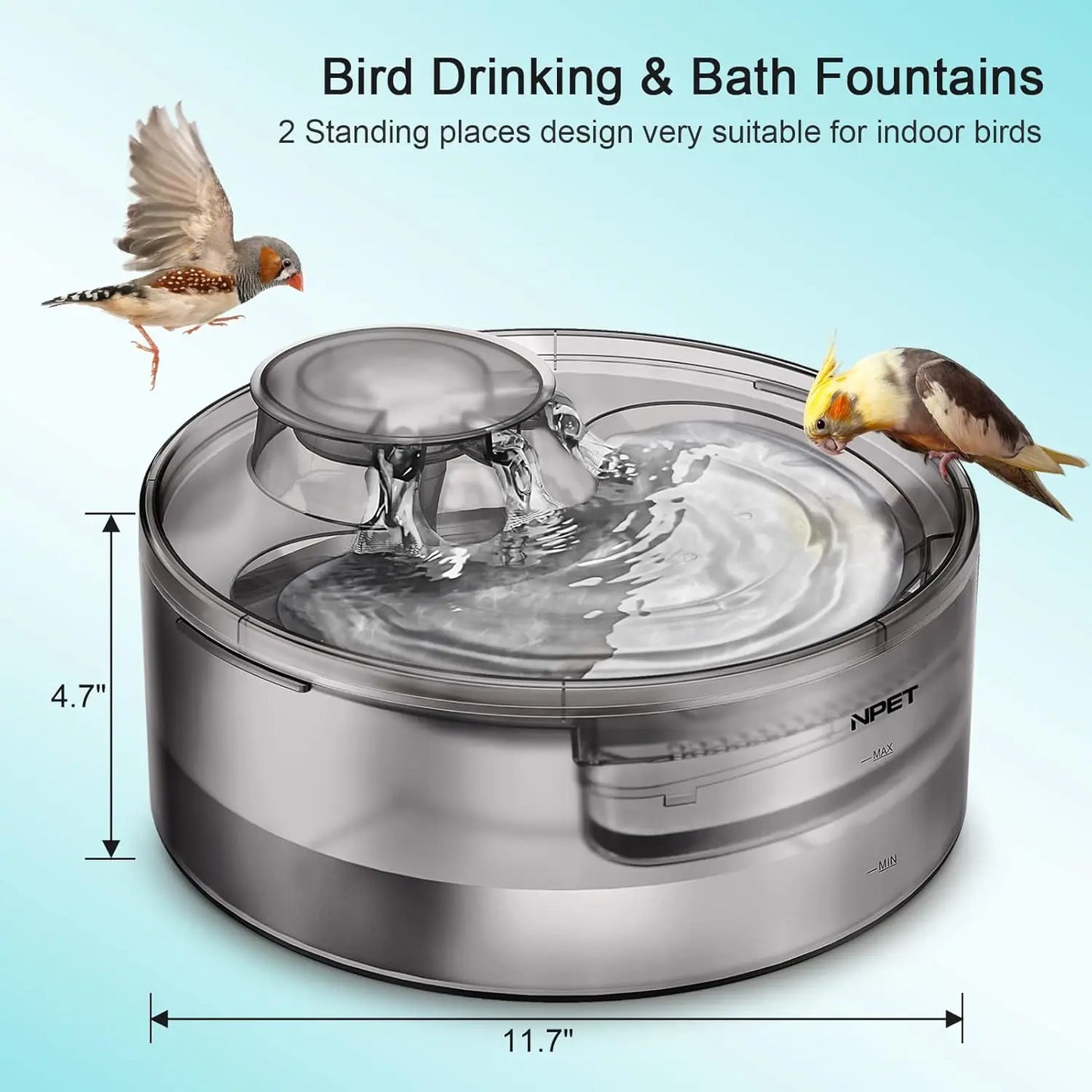 Dog Water Fountain