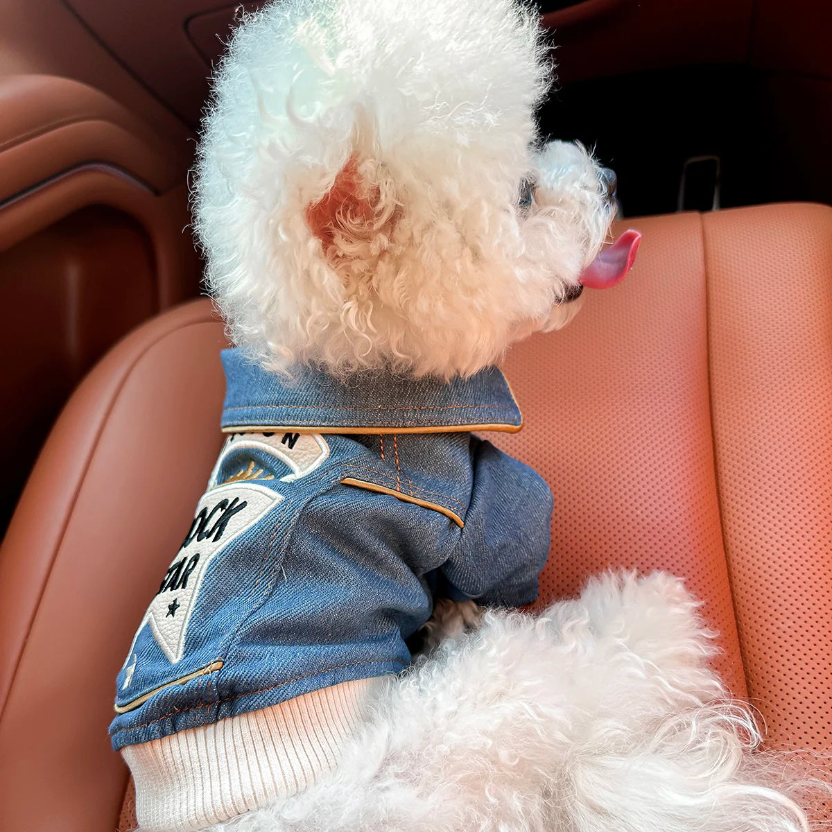 Rock Embroidery Blue Jacket Pet Clothes, Spring Handsome