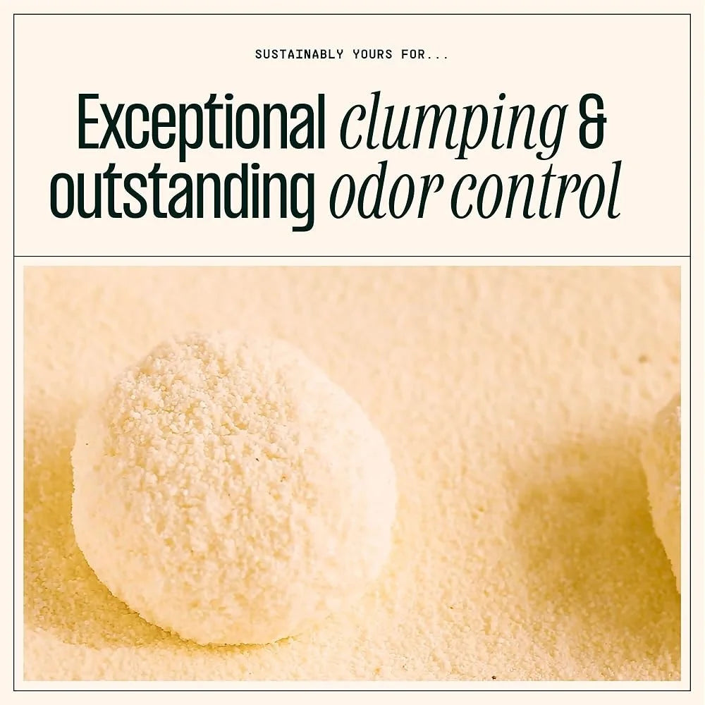 Premium Cat Litter Large Grain Odor Control Clumping Formula 10lbs Natural Corn Cassava Unscented Quick Clean Pet Supplies