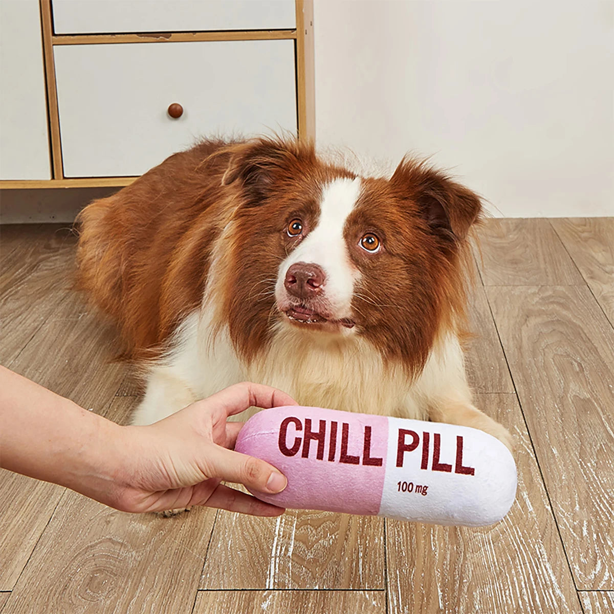 Interactive Plush Pill-Shaped Toy with Squeaker Pet Play and Dental Health
