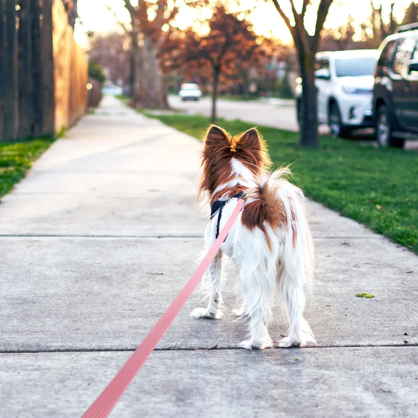 1.8M 3M 5M 10M PVC Dog Leash non-slip Waterproof