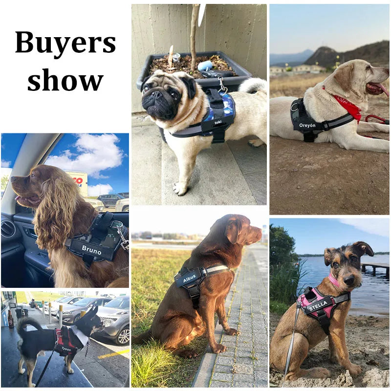 Personalized Dog NO PULL Reflective Breathable Harness