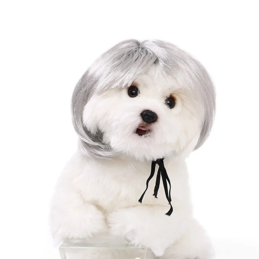 Pet Wigs Halloween, Curly Hair & Straight Hair