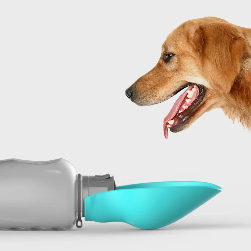 800ml Protable Pet Dog Water Bottle Leakproof Puppy Drinking Bowl