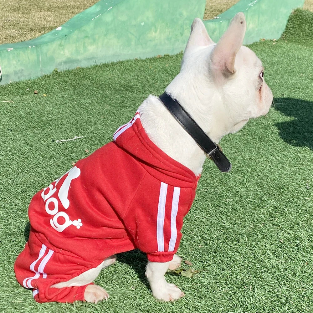 Tracksuit for Spring Autumn Dog Clothes, Sport Sweatshirt Jumpsuit