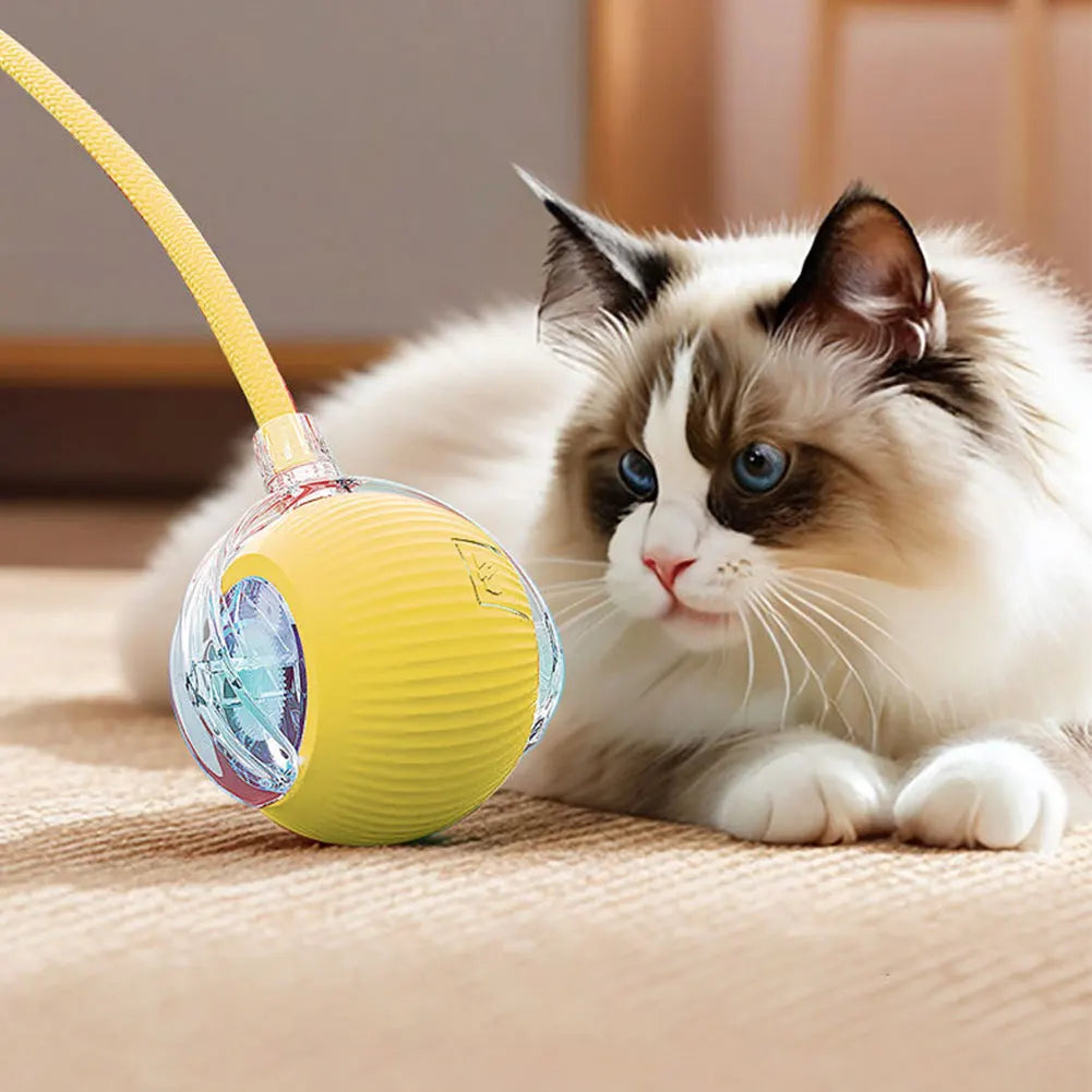 Interactive USB Cat Toy Ball