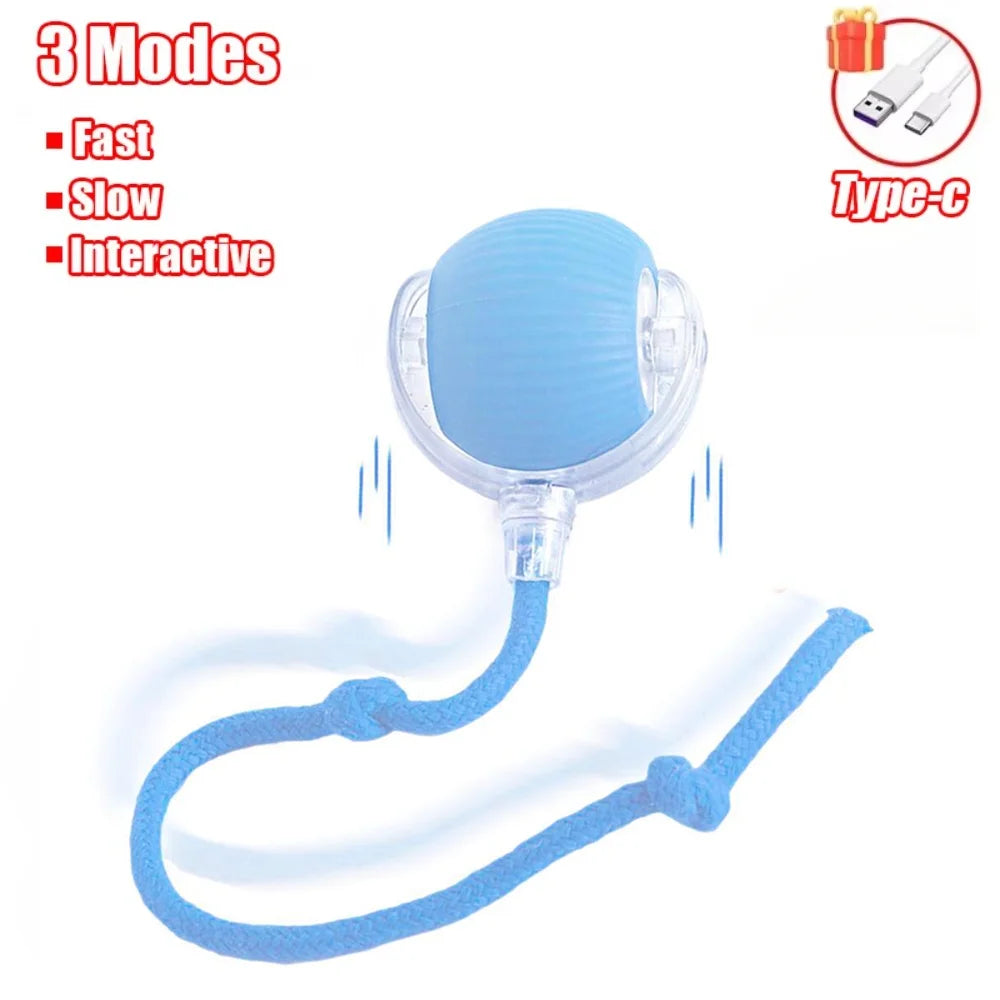 Cat Interactive Indoor Automatic Rolling Magic Ball