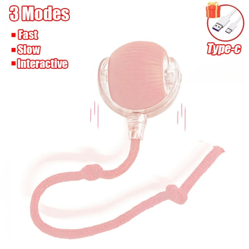 Cat Interactive Indoor Automatic Rolling Magic Ball