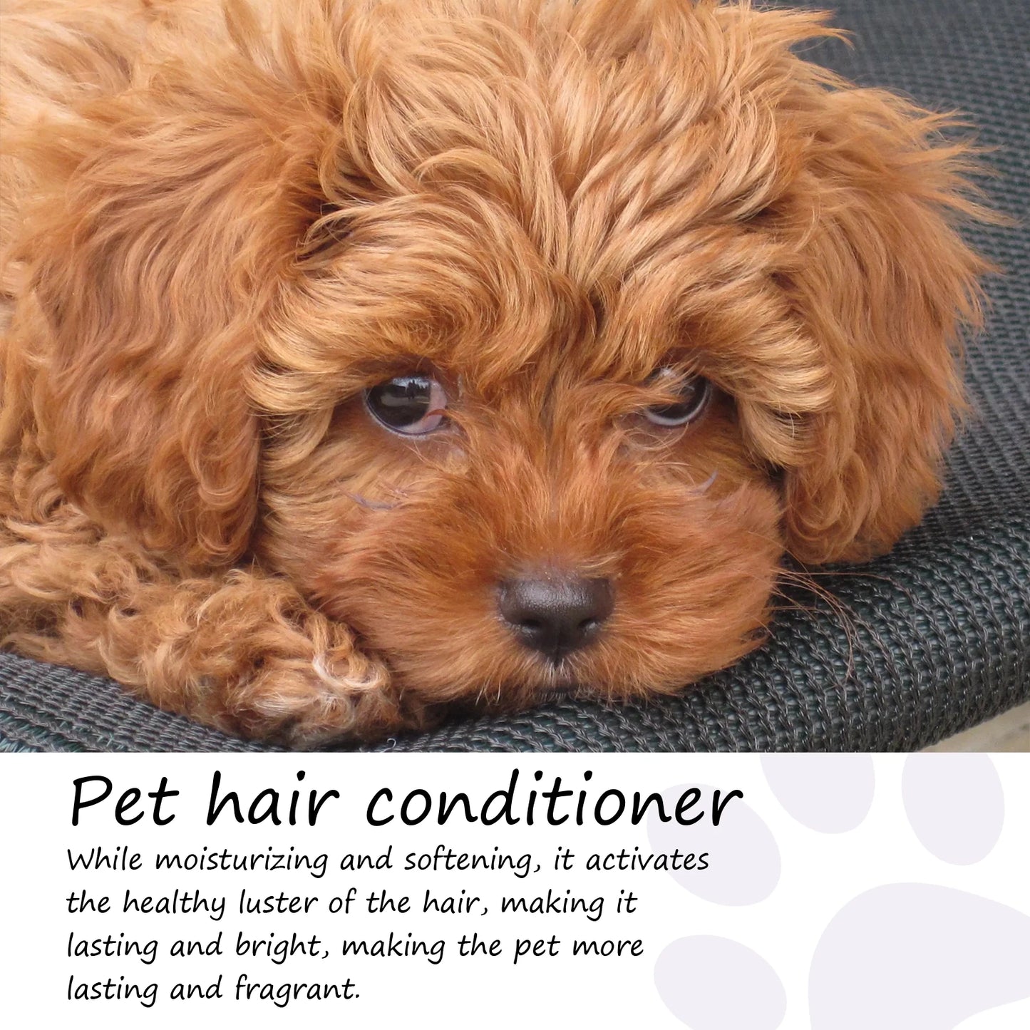 50ml Non-Knotted Pet Hair Care Cream Moisturizes, Conditioner for Dry Skin