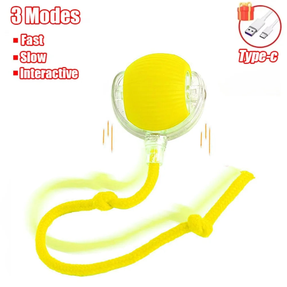 Cat Interactive Indoor Automatic Rolling Magic Ball