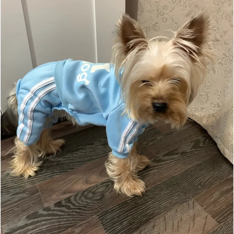 Tracksuit for Spring Autumn Dog Clothes, Sport Sweatshirt Jumpsuit