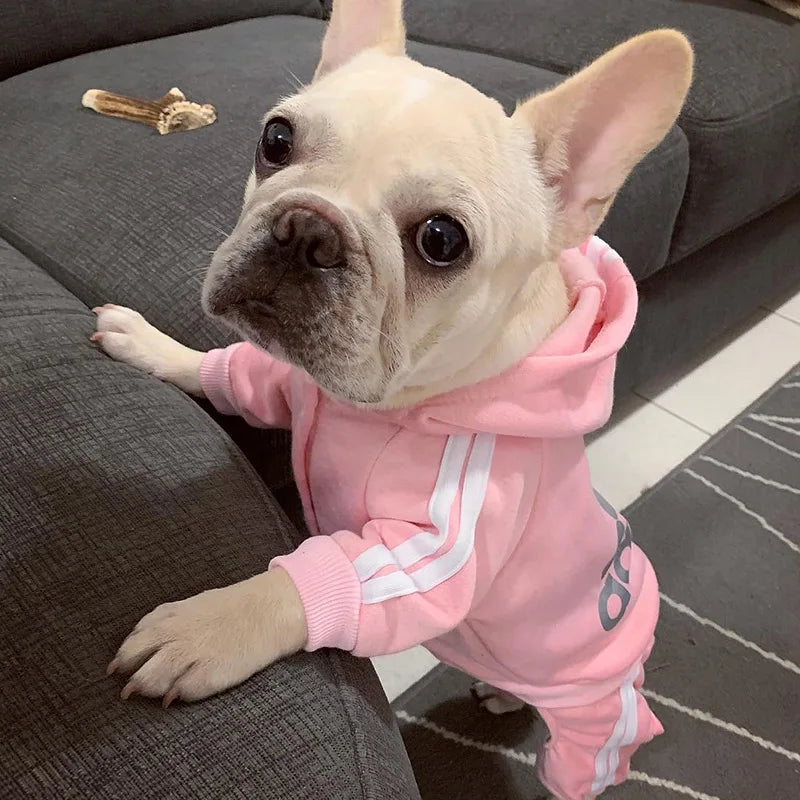 Tracksuit for Spring Autumn Dog Clothes, Sport Sweatshirt Jumpsuit
