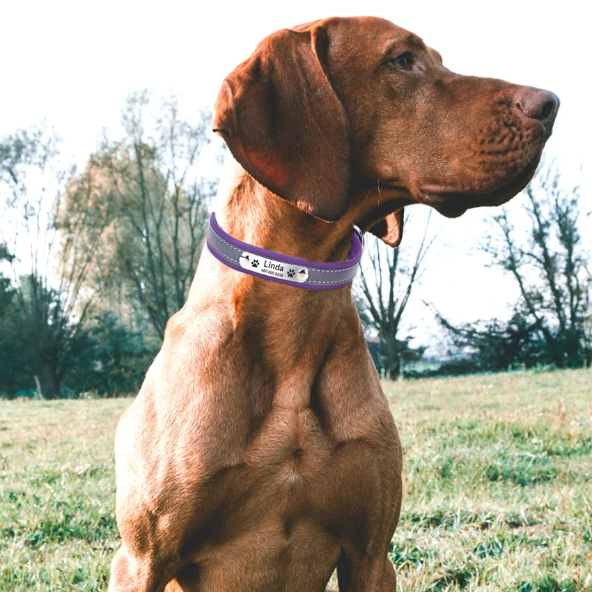 Personalized Leather Reflective Pet Collar