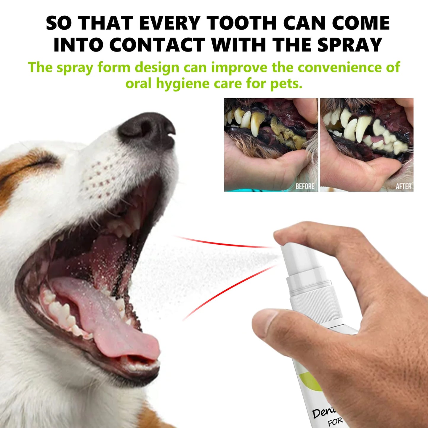 Pet Mint Fresh Breath Spray