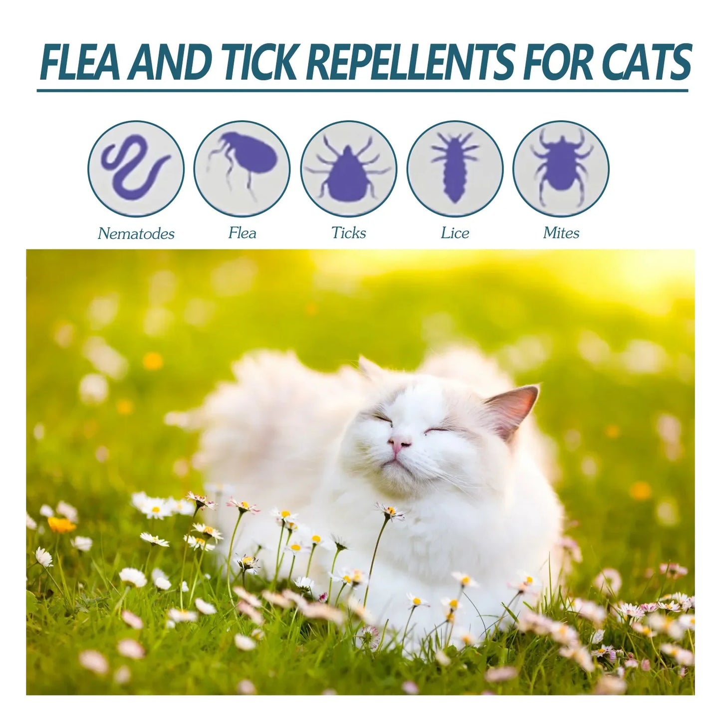 Pet Flea Killer, Anti Fleas, Ticks, Lice, Mite Removal. Relieve Itching, Ringworm Treatment Pet Insect Removal Drops