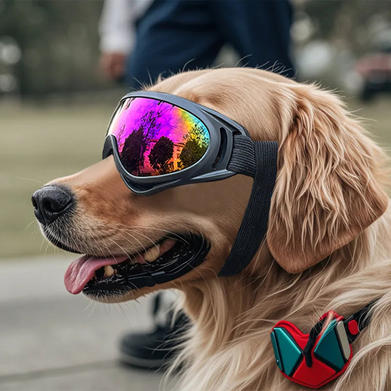 Dog Glasses Outdoor Pet Goggles