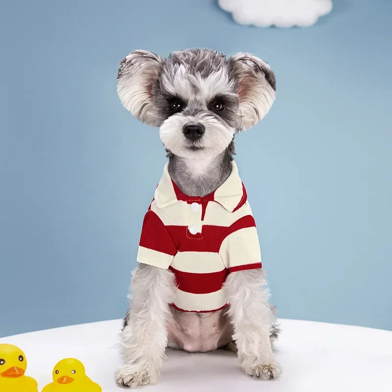 Thin Breathable Summer Polo Dog Shirts