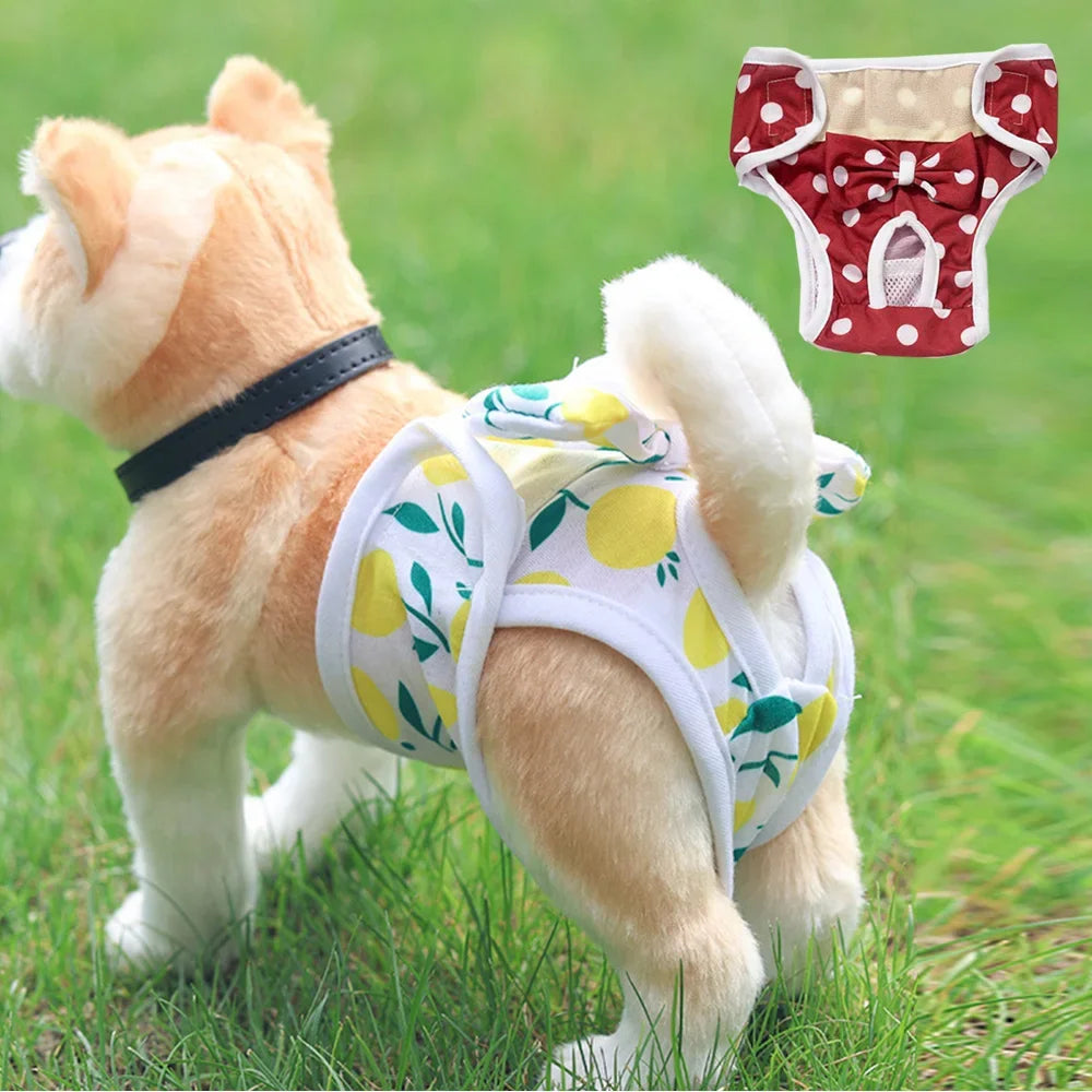 Washable Dog Diapers
