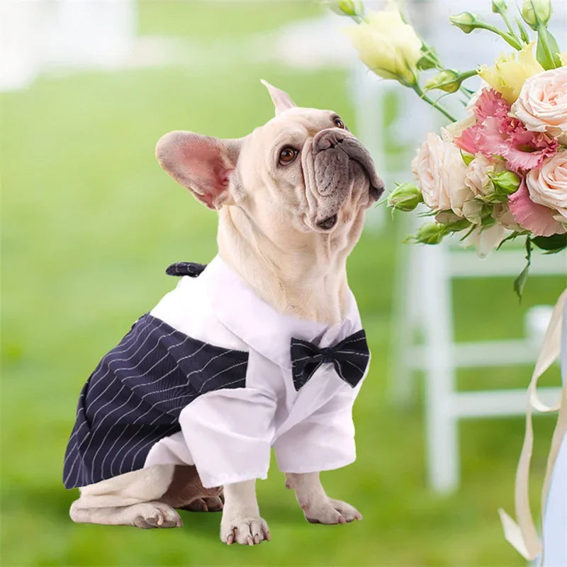 Dog Shirt Tuxedo w/ Bow Tie