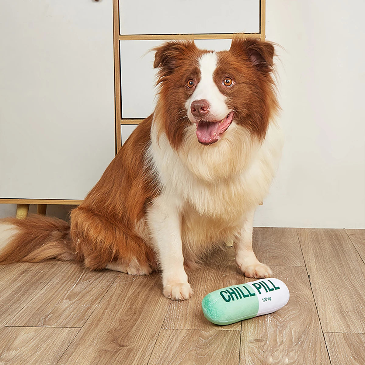 Interactive Plush Pill-Shaped Toy with Squeaker Pet Play and Dental Health