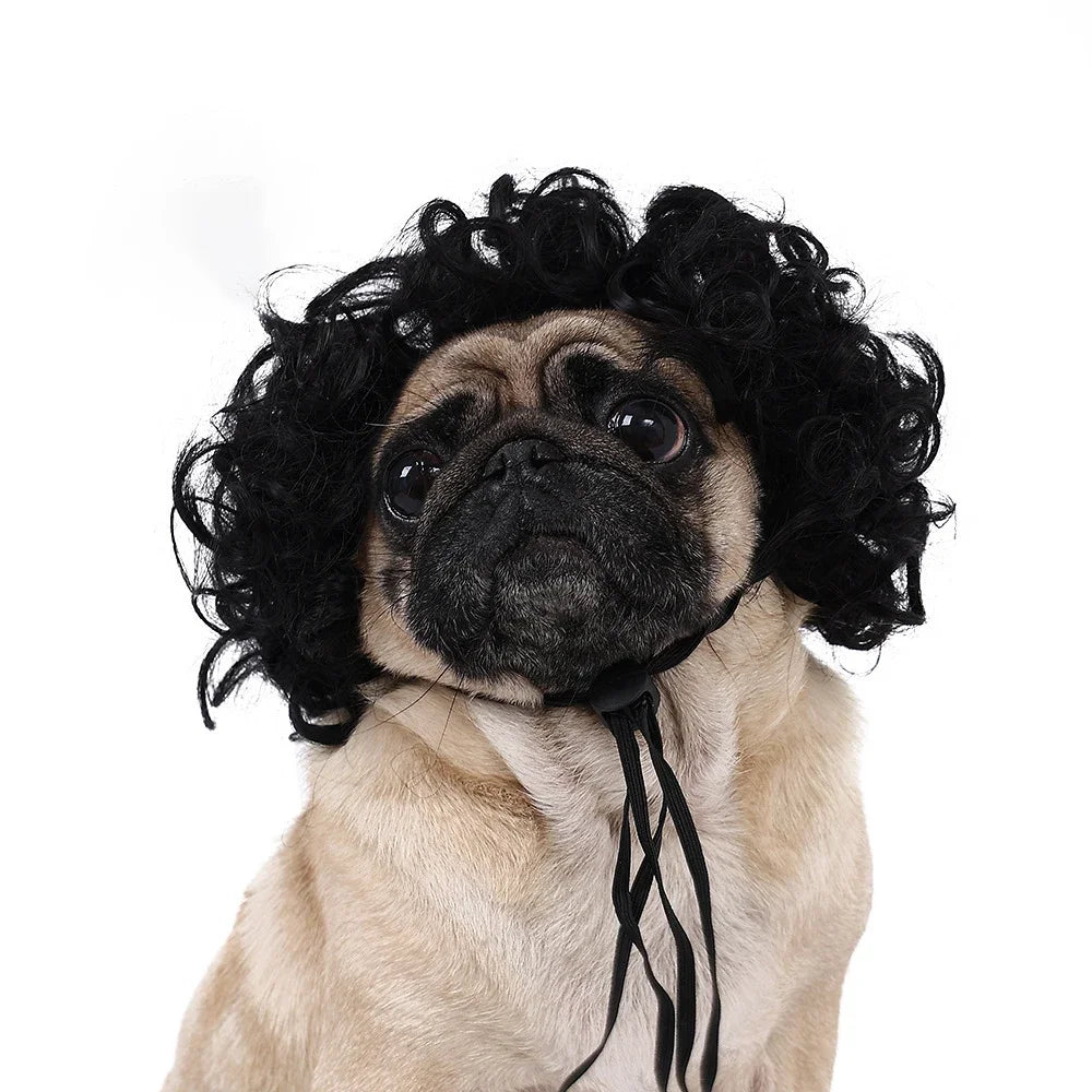 Pet Wigs  Halloween, Curly Hair &  Straight Hair