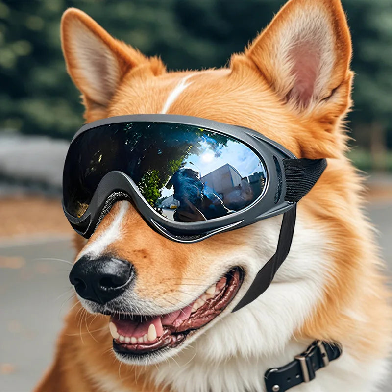 Dog Glasses Outdoor Pet Goggles