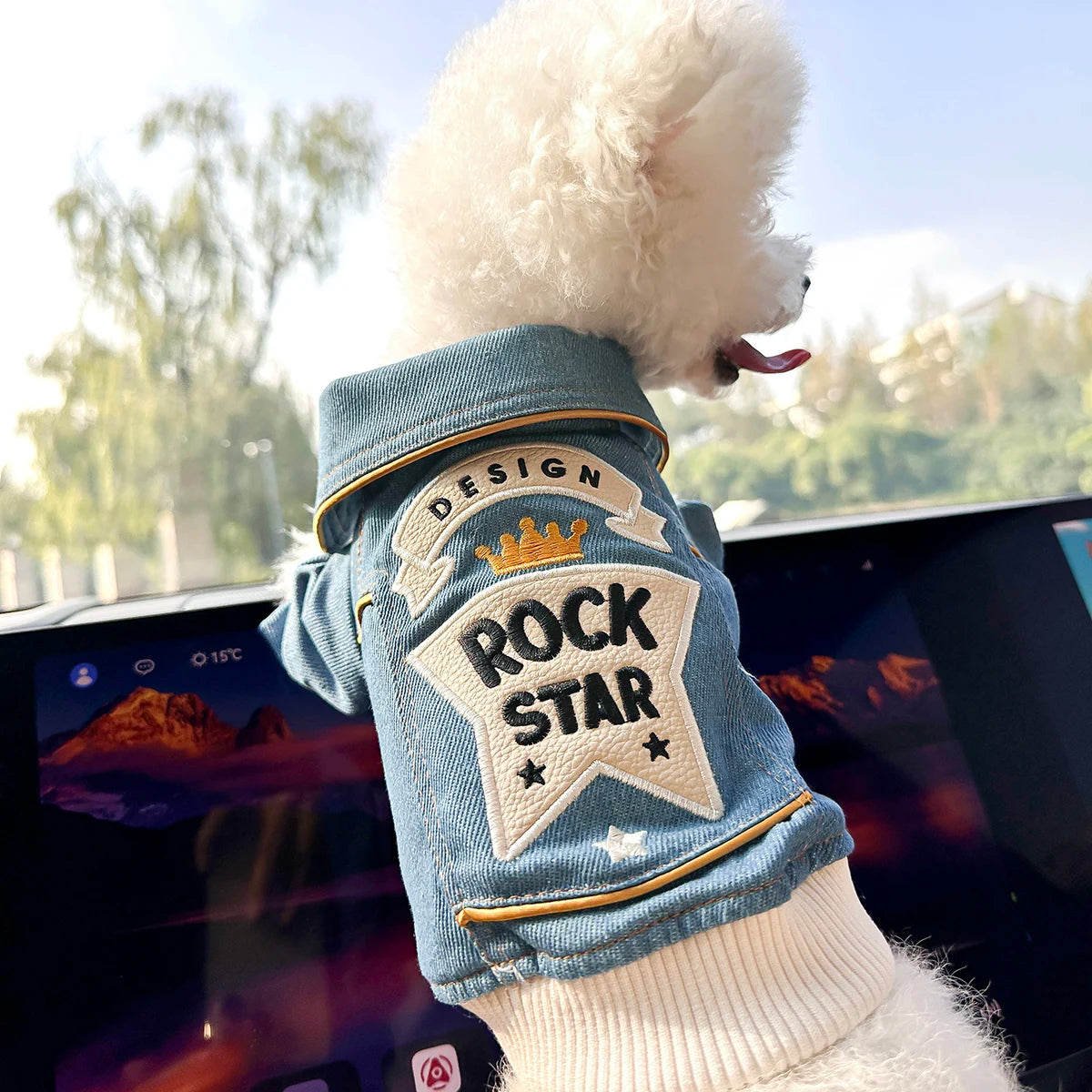 Rock Embroidery Blue Jacket Pet Clothes, Spring Handsome
