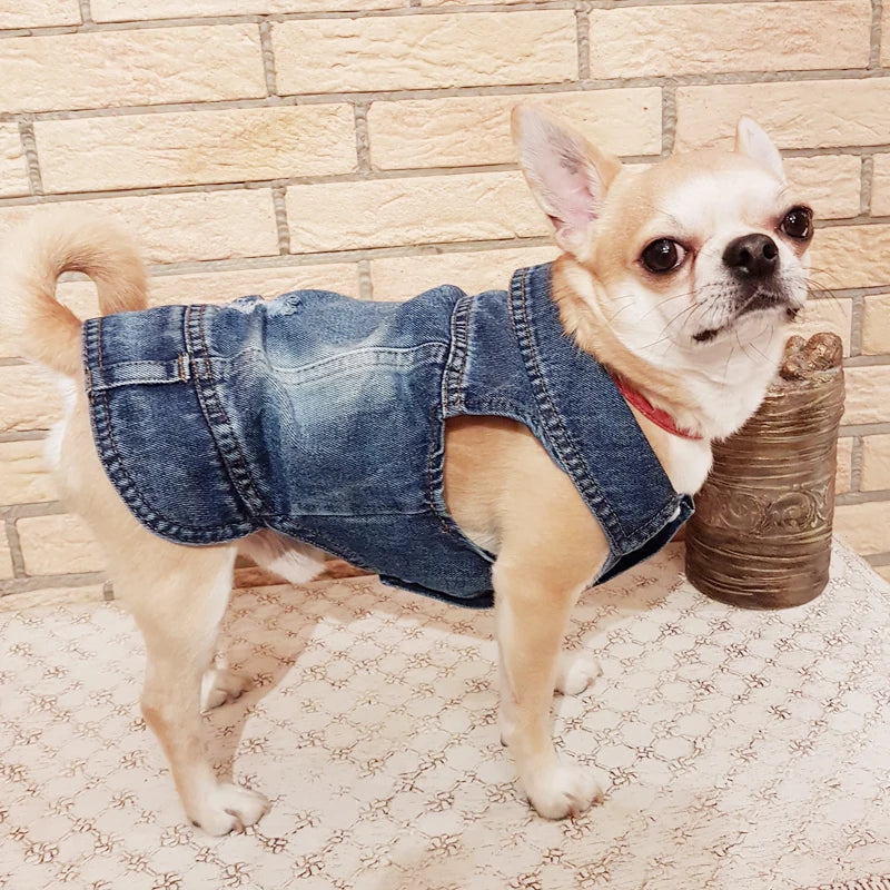 Retro Designer Pet Clothes for Small Dogs, Handsome Puppy Denim Jacket, Durable Jeans Vest Four Seasons Universal