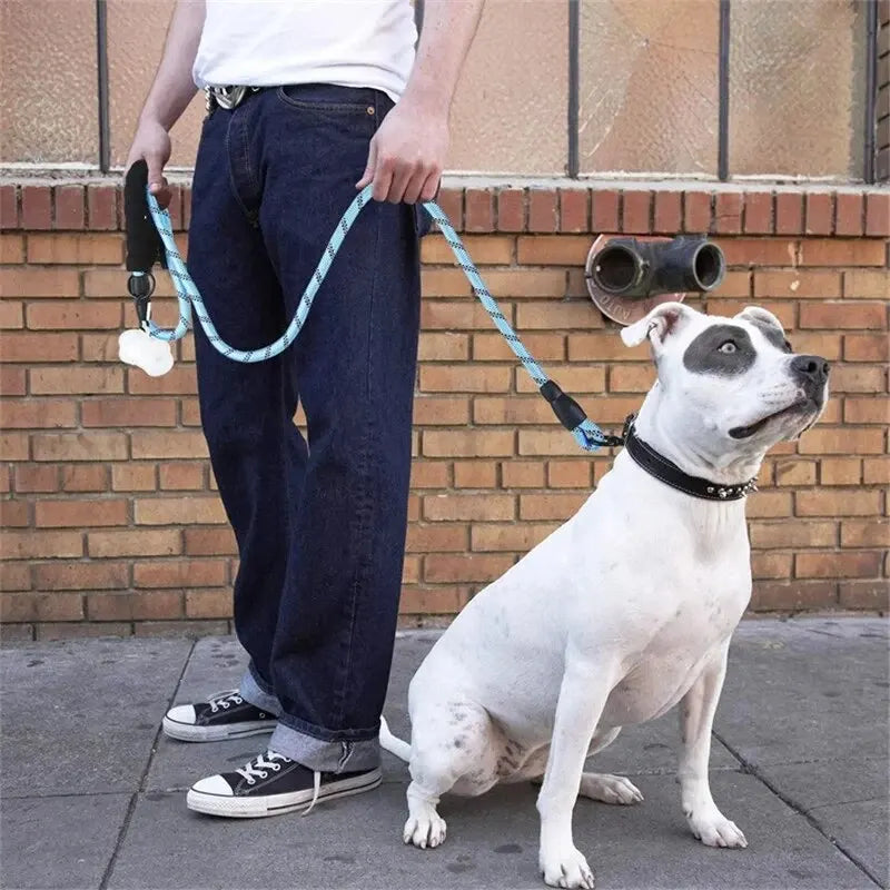Reflective Dog Leash With Comfortable Padded Handle - Double Heavy Duty Traction Rope