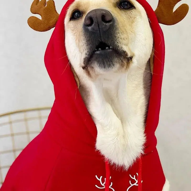 Dog Costume For Large Dogs Warm Sweatshirt