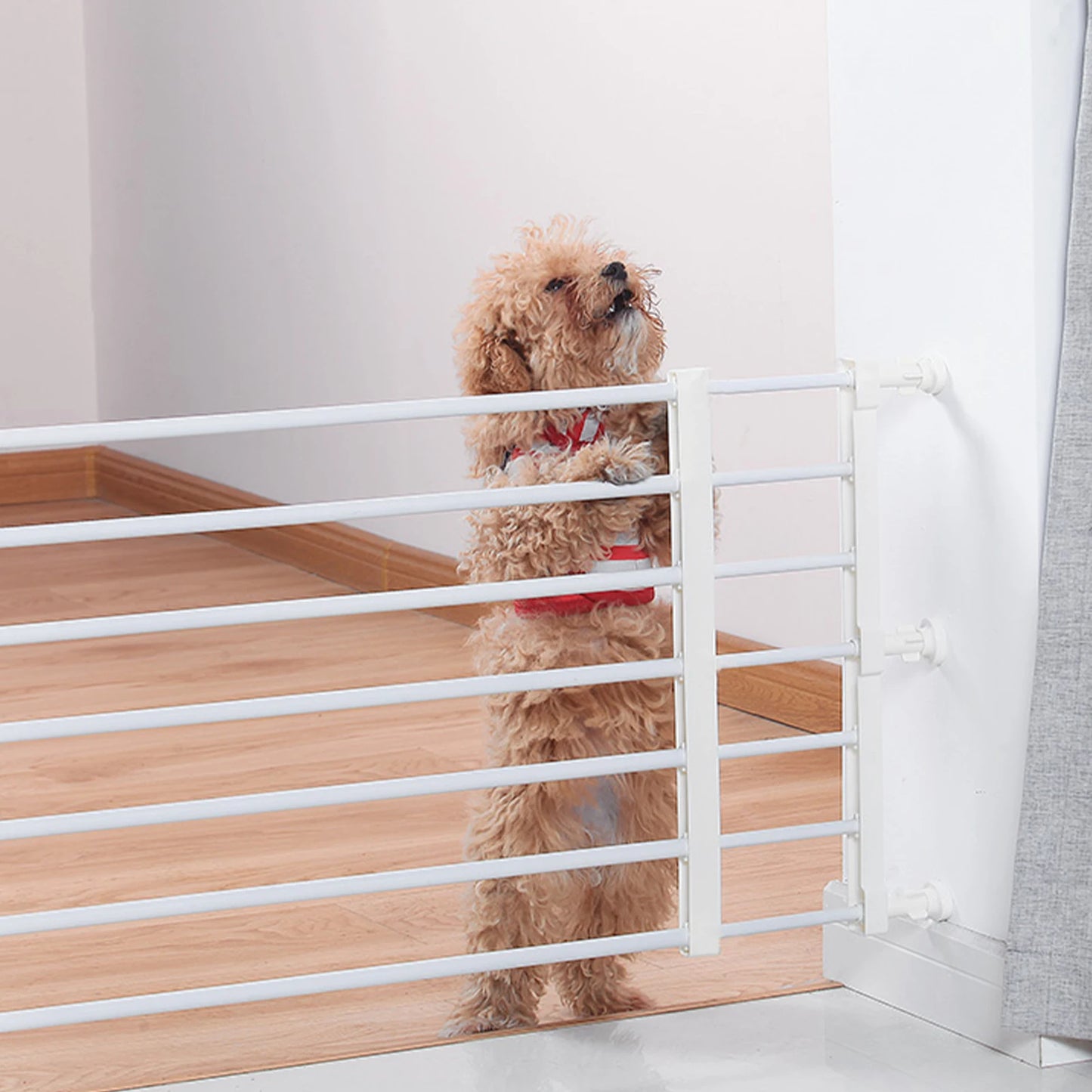 Household Pet Railing Isolation Door