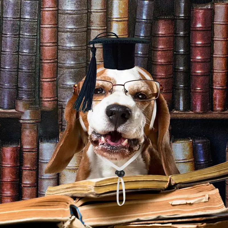 Pet Mini Graduation Caps