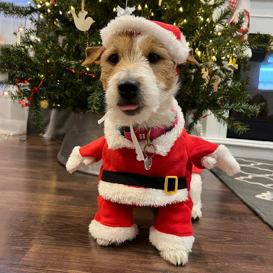 Christmas Clothes for Pets