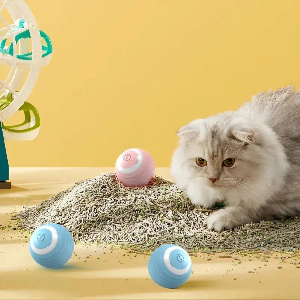 Cat Interactive Indoor Automatic Rolling Magic Ball