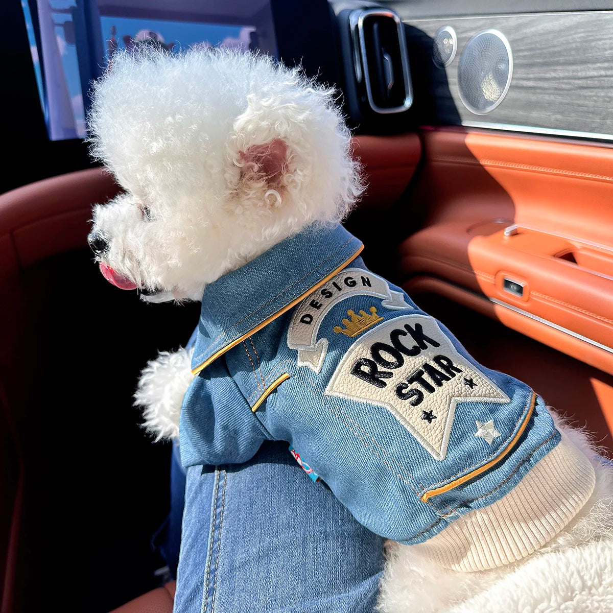 Rock Embroidery Blue Jacket Pet Clothes, Spring Handsome