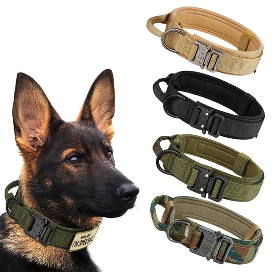 Dog Training Adjustable Tactical Collar And Leash