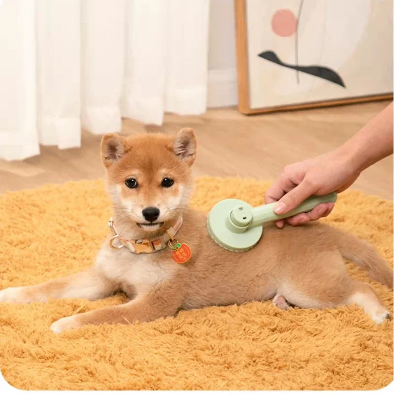 Cat Brush Pet Hair Removal Comb