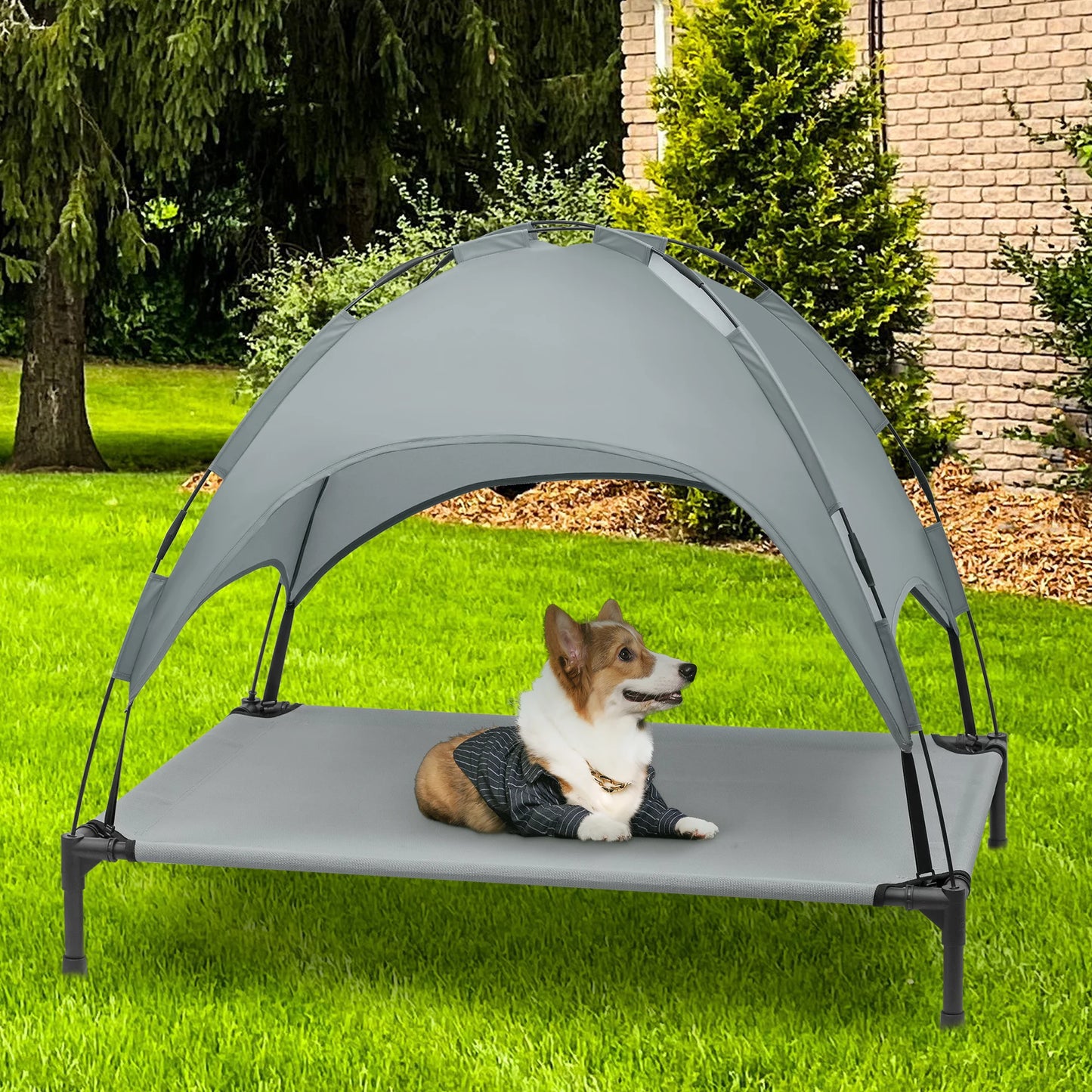 Elevated Dog Bed with Canopy