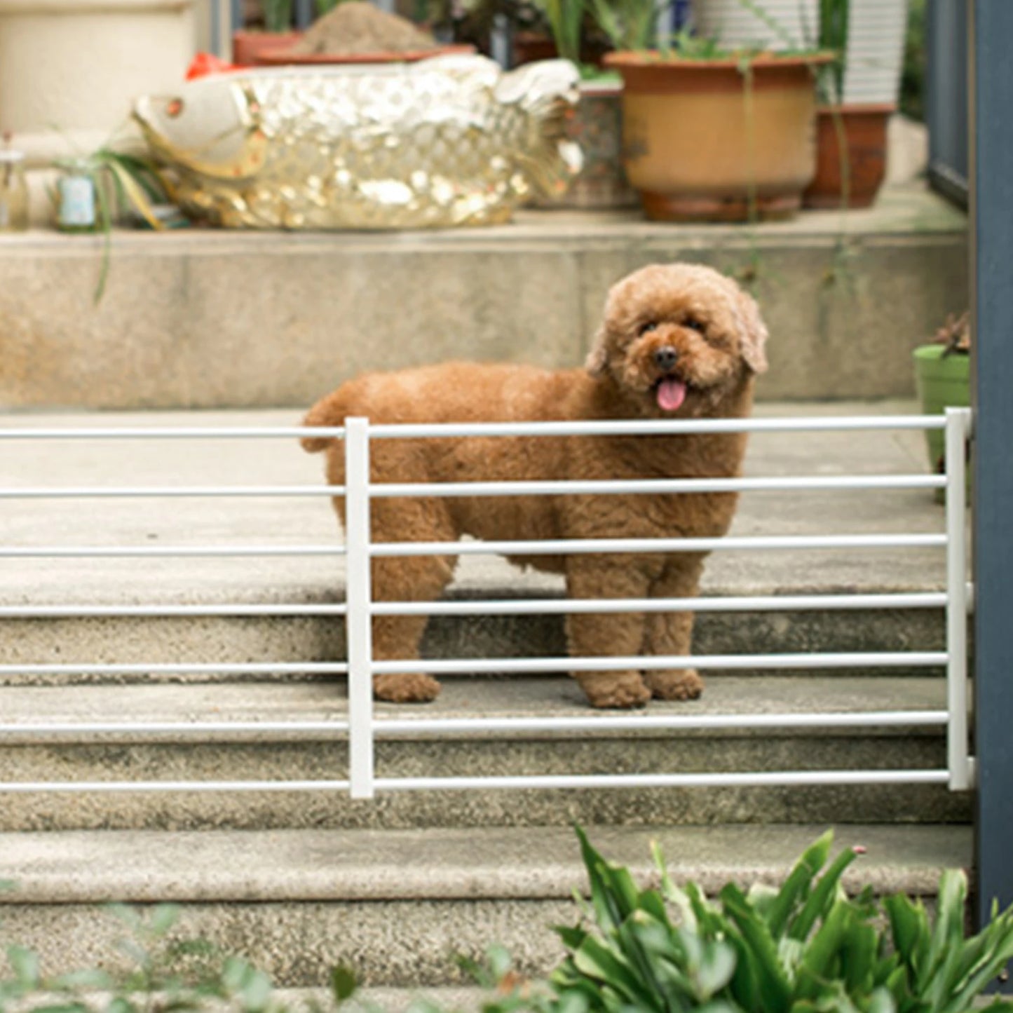 Household Pet Railing Isolation Door