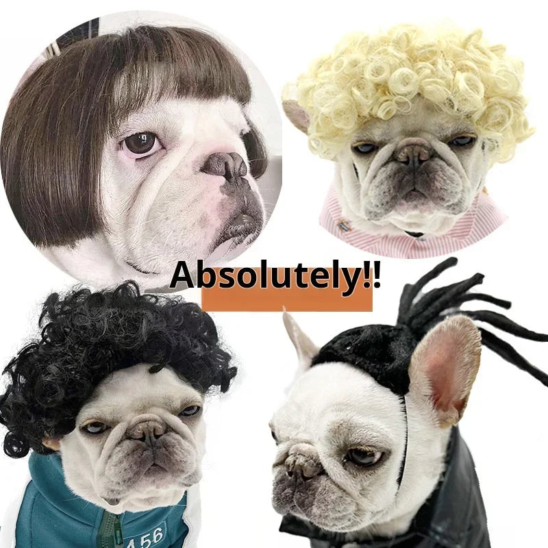 Pet Wigs  Halloween, Curly Hair &  Straight Hair