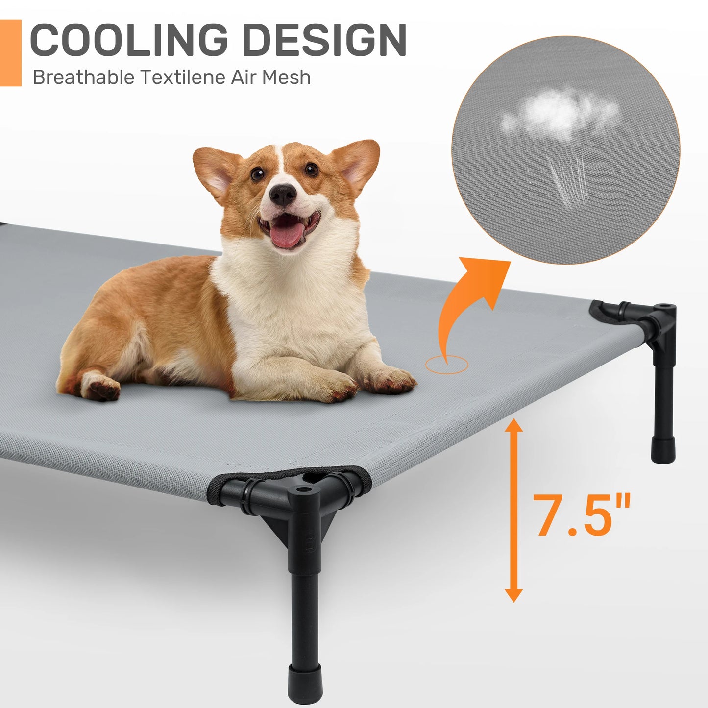 Elevated Dog Bed with Canopy