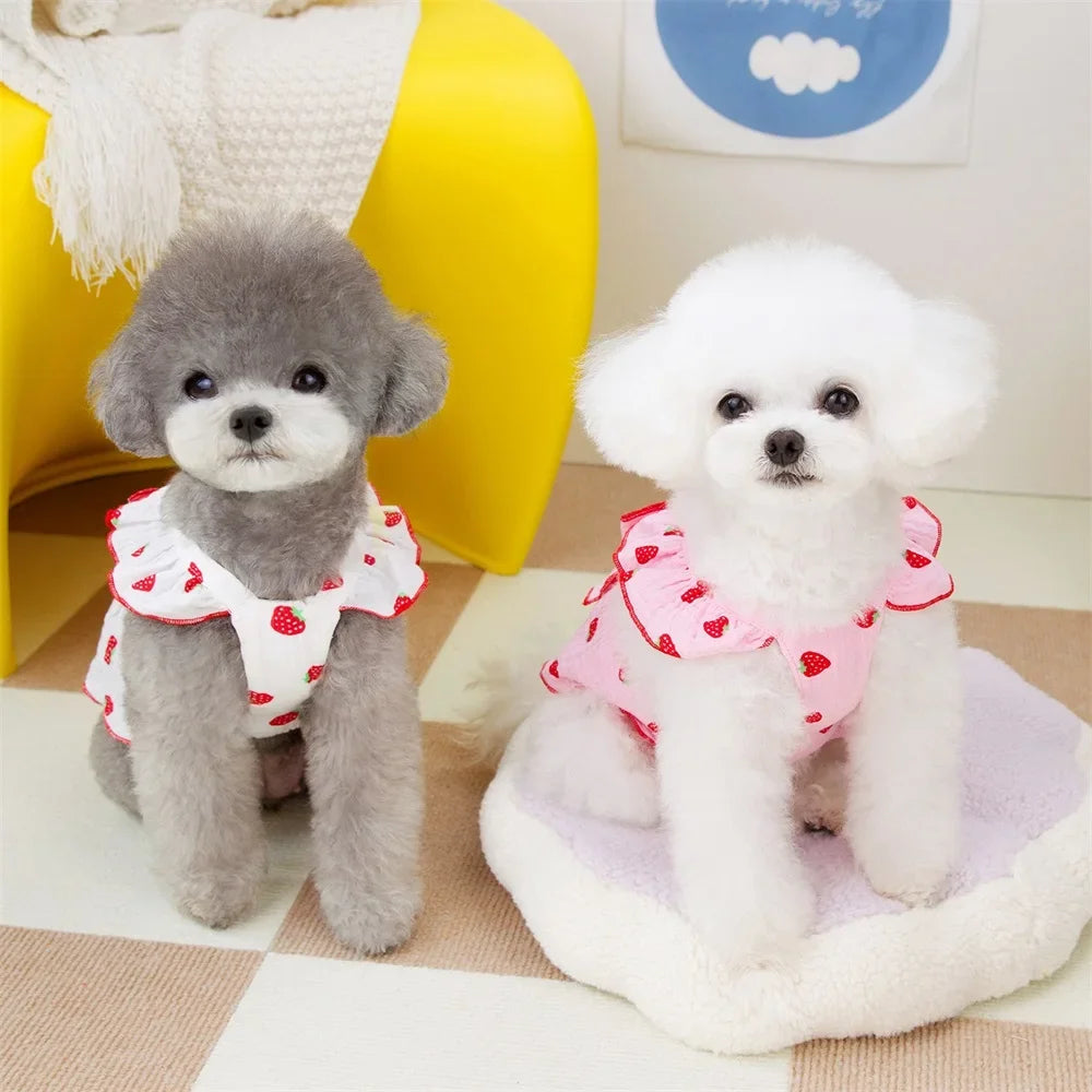 Strawberry Pattern Summer Princess Dog Dresses