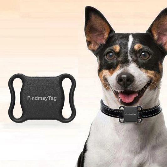 Mini Pet GPS Locator Tracker Colllar