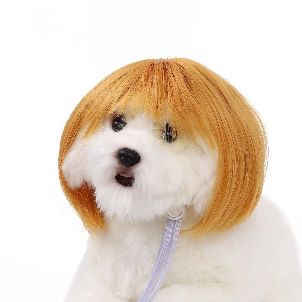 Pet Wigs  Halloween, Curly Hair &  Straight Hair