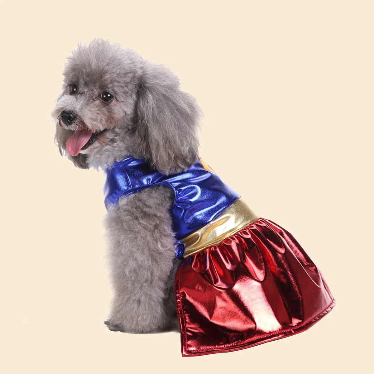 Halloween Pet Dress-Up Outfits
