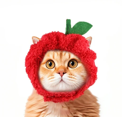 Funny Pet Headband Plush Yarn Cat Dog Cap Panda Pig Pet Warm Pet Hat Chick