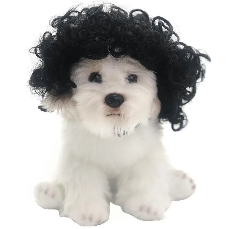 Pet Wigs  Halloween, Curly Hair &  Straight Hair