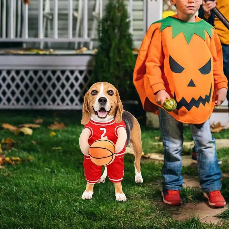 Basketball Player Pet Costume Holding Basketball